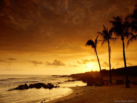 153_golden_sun_set_wallpapers.jpg