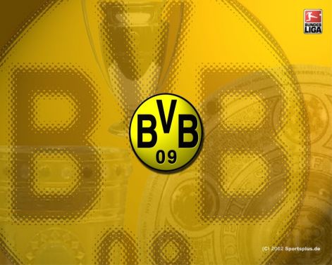 217_bvb-4596.jpg