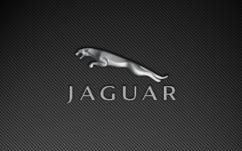 38_jaguar-leaper-logo-carbon-fiber-1440x900.png